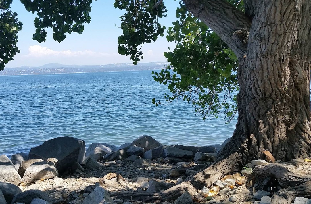 POTA Beals Point Image